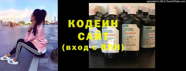 ГАЛЛЮЦИНОГЕННЫЕ ГРИБЫ Коряжма