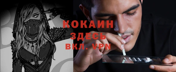 прущие грибы Костерёво