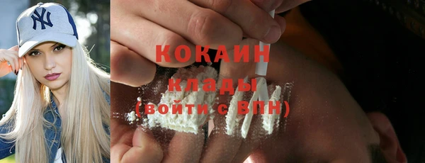 ГАЛЛЮЦИНОГЕННЫЕ ГРИБЫ Коряжма