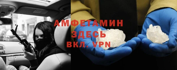 прущие грибы Костерёво