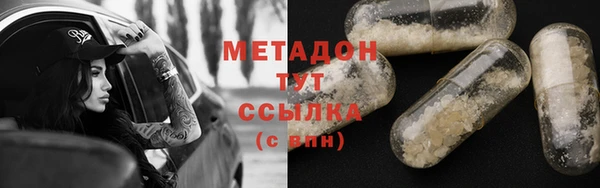 прущие грибы Костерёво