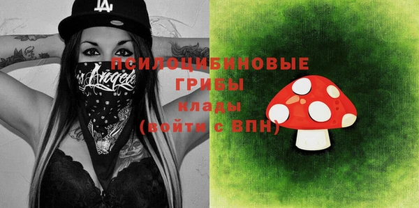 прущие грибы Костерёво