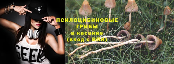 прущие грибы Костерёво