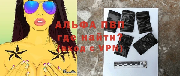 прущие грибы Костерёво