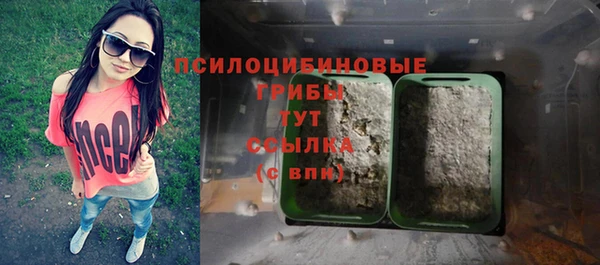 ГАЛЛЮЦИНОГЕННЫЕ ГРИБЫ Коряжма