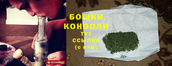 ГАЛЛЮЦИНОГЕННЫЕ ГРИБЫ Коряжма