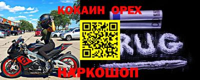 стаф Гатчина