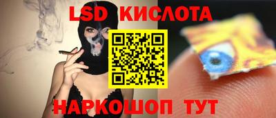 стаф Гатчина