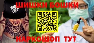 стаф Гатчина