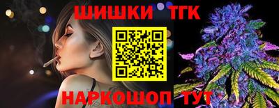 стаф Гатчина