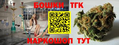 стаф Гатчина