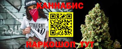 стаф Гатчина