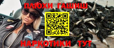 стаф Гатчина