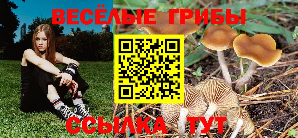 Кохма  Галлюциногенные грибы мухоморы  Псилоцибиновые грибы мухоморы  Вход с VPN 
